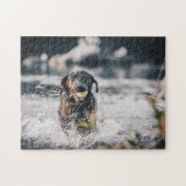 Zwart labrador speelt fets in water legpuzzel (Horizontaal)