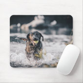 Zwart labrador speelt fets in water muismat (Met muis)