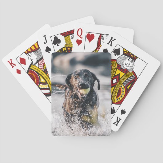 Zwart labrador speelt fets in water pokerkaarten (Achterkant)