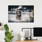 Zwart labrador speelt fets in water poster (Thuiskantoor)