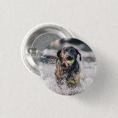 Zwart labrador speelt fets in water ronde button 3,2 cm (Voorkant /achterkant)