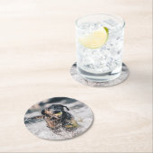 Zwart labrador speelt fets in water ronde kartonnen onderzetter (Insitu)