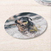 Zwart labrador speelt fets in water ronde kartonnen onderzetter (Gebogen)