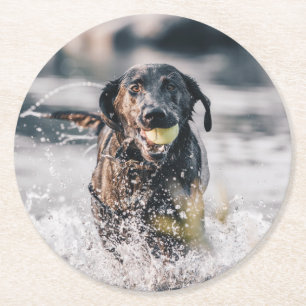 Zwart labrador speelt fets in water ronde kartonnen onderzetter