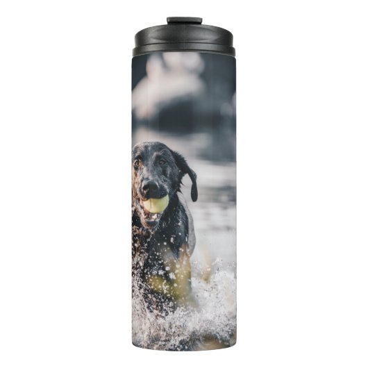 Zwart labrador speelt fets in water thermosbeker (Voorkant)