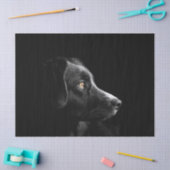 zwart labrador tissuepapier (Craft)