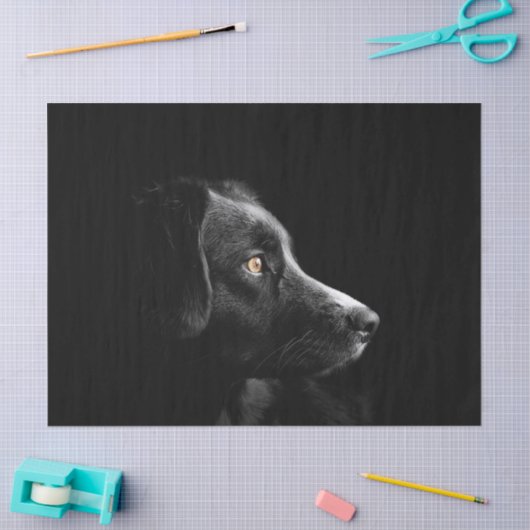 zwart labrador tissuepapier (Craft)