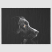 zwart labrador tissuepapier (Voorkant)