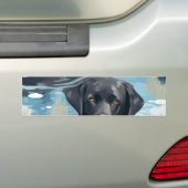 Zwart Labrador Zwem Patroon Bumpersticker (Op auto)