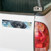 Zwart Labrador Zwem Patroon Bumpersticker (Op Truck)