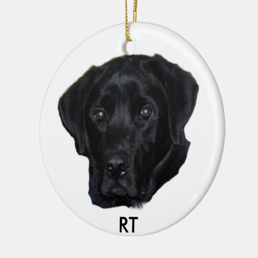 Zwart-labversiering Keramisch Ornament (Links)