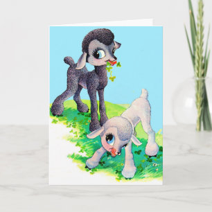 zwart lammetje wit lammetje kaart