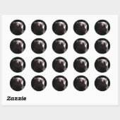 Zwart Leopard Portret Ronde Sticker (Vel)
