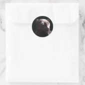 Zwart Leopard Portret Ronde Sticker (Tas)