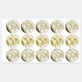 Zwart met goud op Champagne Silk Labels (Vel)