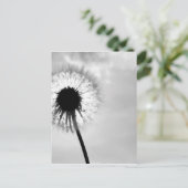 Zwart met Paardebloem Black en White Dandelion Briefkaart (Staand voorkant)