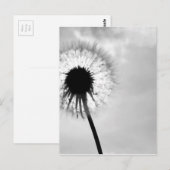 Zwart met Paardebloem Black en White Dandelion Briefkaart (Voorkant / Achterkant)