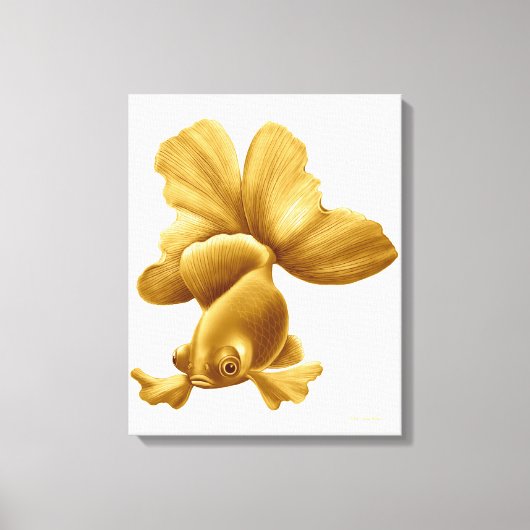 Zwart Moor Fancy Goldfish Wrapped Canvas Afdruk (Voorkant)