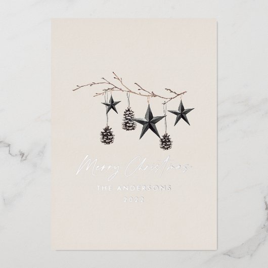 Zwart natuurschandaal modern botanisch folie feestdagenkaart (Voorkant)