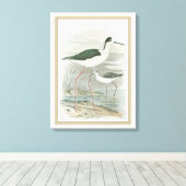 Zwart-Necked Stilts door het water Canvas Afdruk (Insitu (Houten vloer))