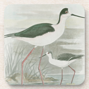 Zwart-Necked Stilts door het water Drankjes Onderzetter