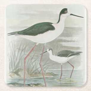 Zwart-Necked Stilts door het water Kartonnen Onderzetters
