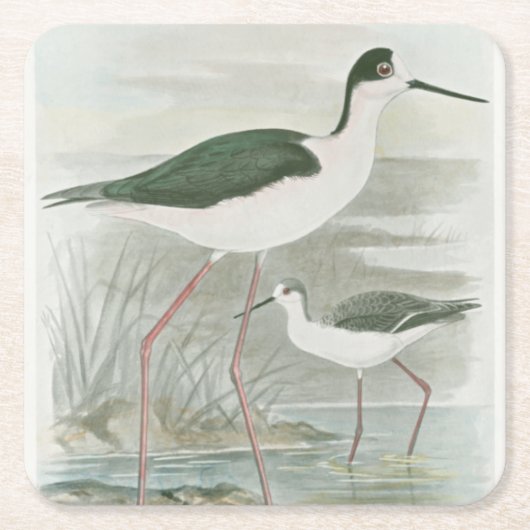 Zwart-Necked Stilts door het water Kartonnen Onderzetters (Voorkant)
