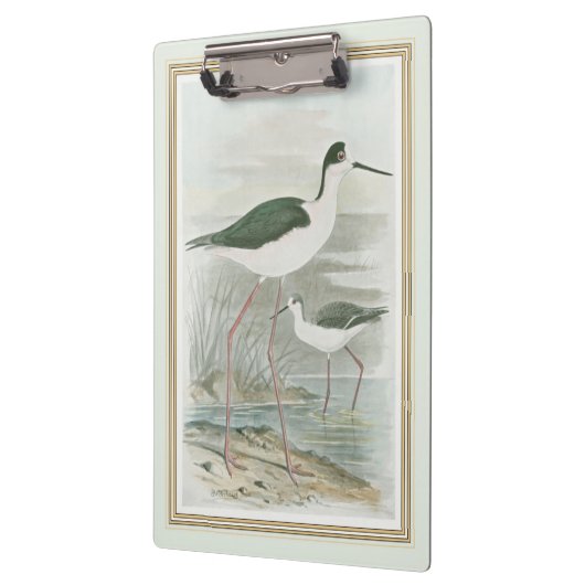 Zwart-Necked Stilts door het water Klembord (Links)