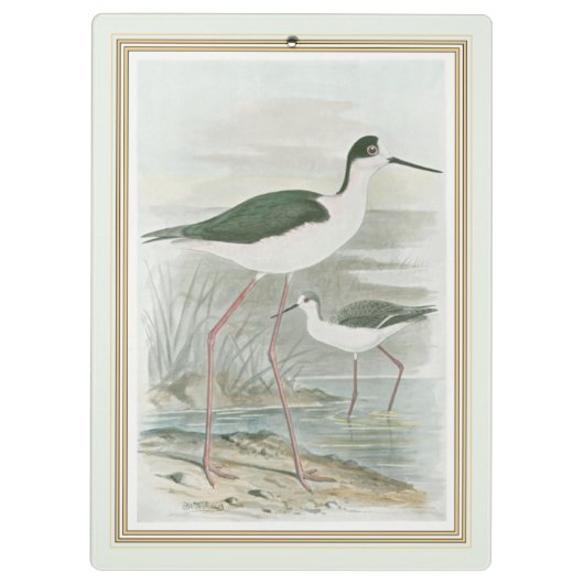 Zwart-Necked Stilts door het water Klembord (Achterkant)