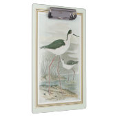 Zwart-Necked Stilts door het water Klembord (Rechts)