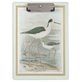 Zwart-Necked Stilts door het water Klembord (Voorkant)