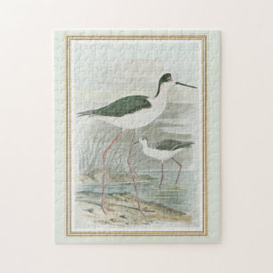 Zwart-Necked Stilts door het water Legpuzzel
