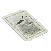 Zwart-Necked Stilts door het water Magneet (Rechterzijde)