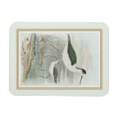 Zwart-Necked Stilts door het water Magneet (Horizontaal)