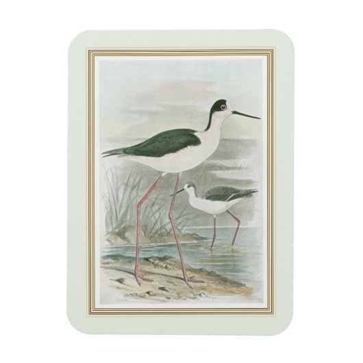 Zwart-Necked Stilts door het water Magneet (Verticaal)