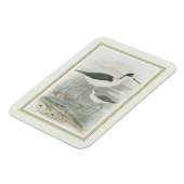 Zwart-Necked Stilts door het water Magneet (Linkerzijde)