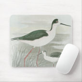 Zwart-Necked Stilts door het water Muismat (Met muis)