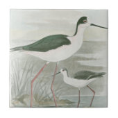 Zwart-Necked Stilts door het water Tegeltje (Voorkant)