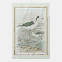 Zwart-Necked Stilts door het water