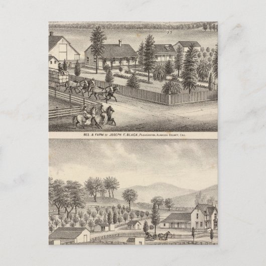 Zwart, neusweerstanden, eigenschappen briefkaart (Voorkant)