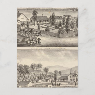 Zwart, neusweerstanden, eigenschappen briefkaart