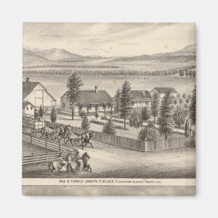 Zwart, neusweerstanden, eigenschappen magneet