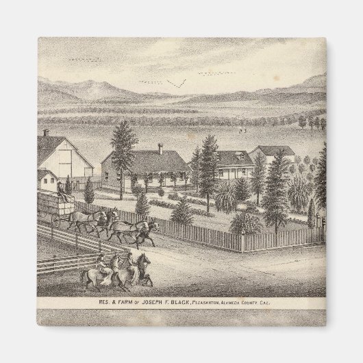 Zwart, neusweerstanden, eigenschappen magneet (Voorkant)