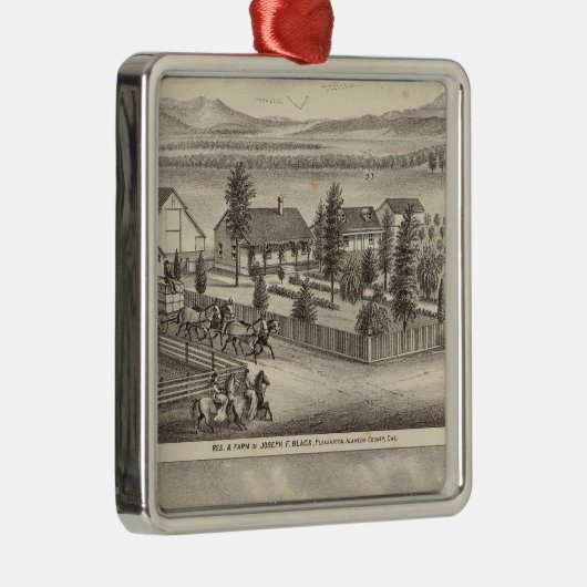 Zwart, neusweerstanden, eigenschappen metalen ornament (Rechts)