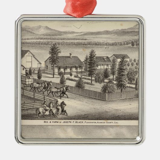 Zwart, neusweerstanden, eigenschappen metalen ornament (Voorkant)