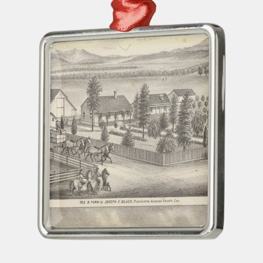 Zwart, neusweerstanden, eigenschappen metalen ornament (Links)