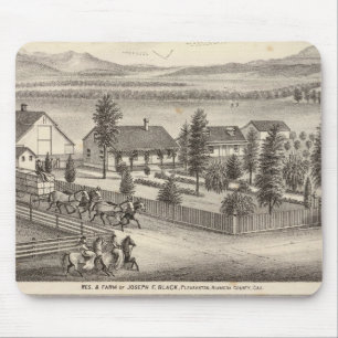 Zwart, neusweerstanden, eigenschappen muismat