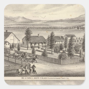 Zwart, neusweerstanden, eigenschappen vierkante sticker