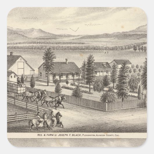 Zwart, neusweerstanden, eigenschappen vierkante sticker (Voorkant)