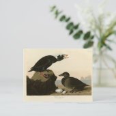 Zwart of Surf Duck Briefkaart (Staand voorkant)